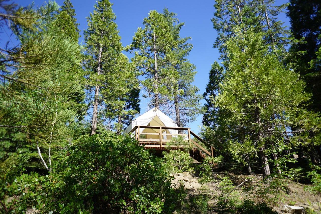 Shaver Lake Village Hotel Kültér fotó
